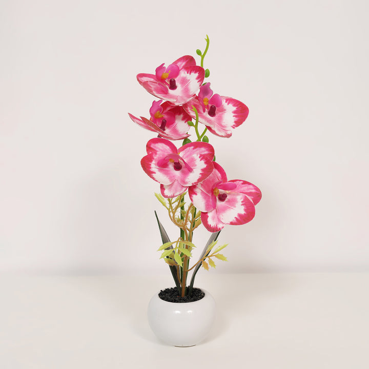 Orchid Artificial Flower Potted Plant - Pink and White