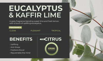 Scented Home Fragrance Oil (Eucalyptus & Kaffir Lime)