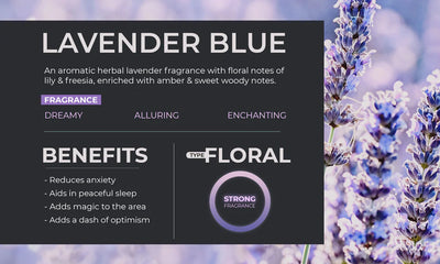 Scented Home Fragrance Oil (Lavender Blue)