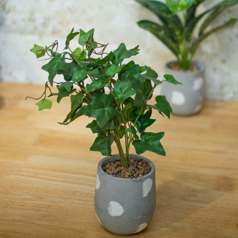 Plant in decorative pot by Home 360